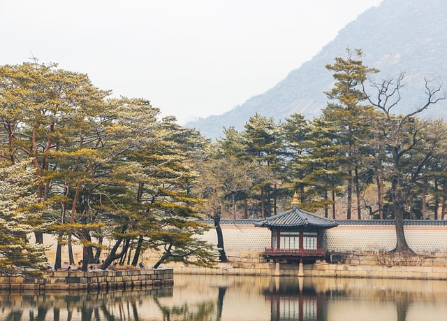 임진왜란 이후 조선의 국방 개혁과 사회적 변화 알아보기