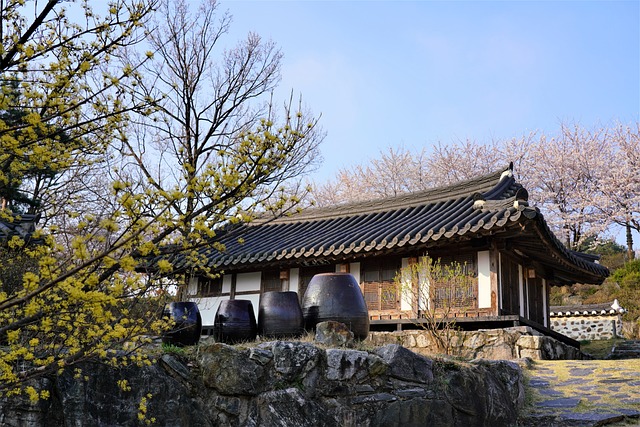 경국대전 이후 조선의 왕권 강화와 정치 구조 변화 분석하기